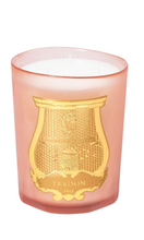 Load image into Gallery viewer, CIRE TRUDON Tuileries Candle
