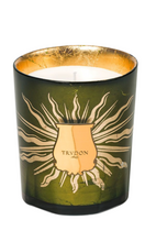 Load image into Gallery viewer, CIRE TRUDON | 2023 Gabriel Christmas Candle 270g
