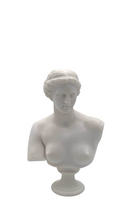 Load image into Gallery viewer, MERCER &amp; LEWIS Aphrodite Small
