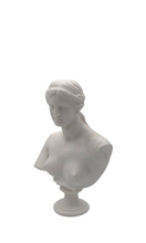 Load image into Gallery viewer, MERCER &amp; LEWIS Aphrodite Small
