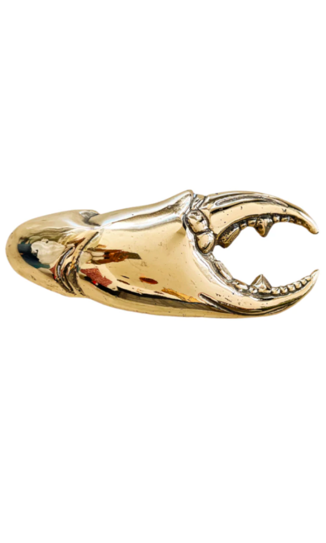 MR PINCHY & CO | Crab Claw Bottle Opener